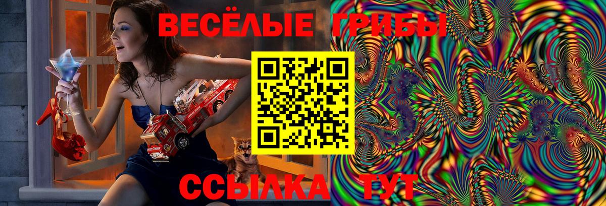 Псилоцибиновые грибы Psilocybe Кушва